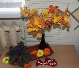 IMG_0085 (1024x683)
