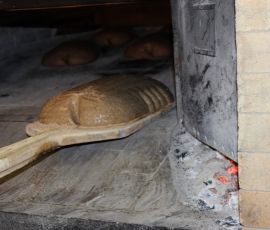 IMG_3237